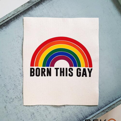 Pride BORN THIS GAY disktrasa