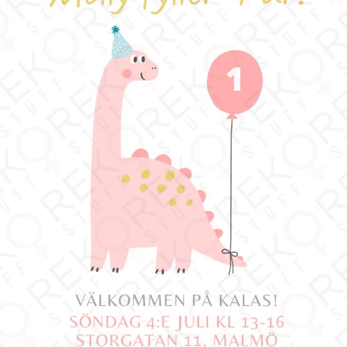 Kalasinbjudan DINO