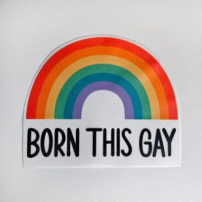 Textiltryck med en regnbåge och texten ”Born This Gay