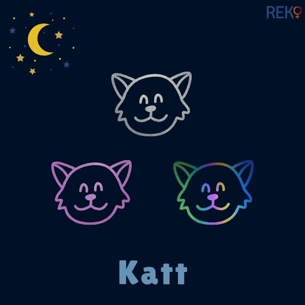Katt reflexfigur