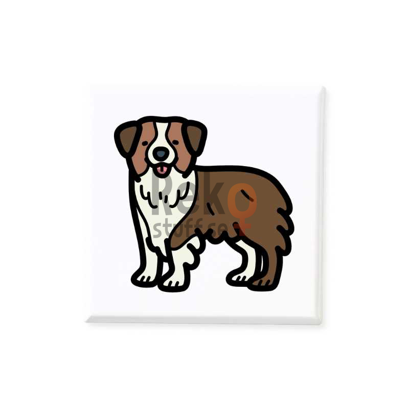 Hund Australian Shepherd