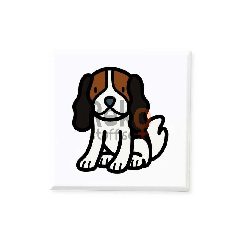 Hund Cavalier King Charles Spaniel