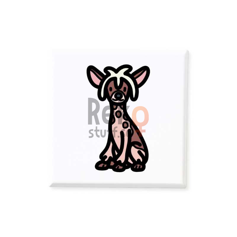 Hund Chinese Crested Dog