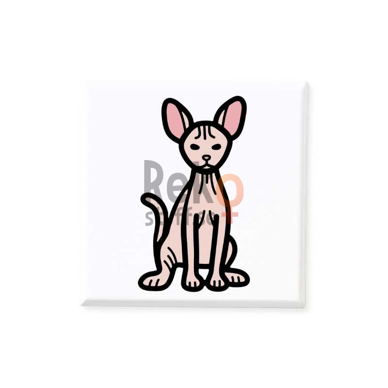 Katt Sphynx nakenkatt